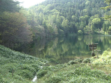 大河原峠　登山コース　ガイド