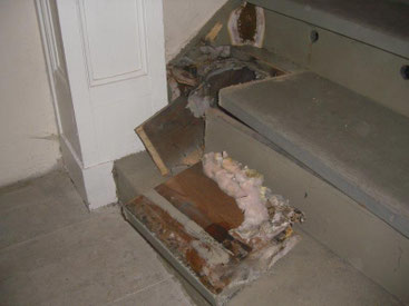 Treppe zur Empore, Hausschwammbefall mit Fruchtkörper (braun)