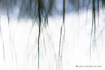 Murauen 10.02.2008