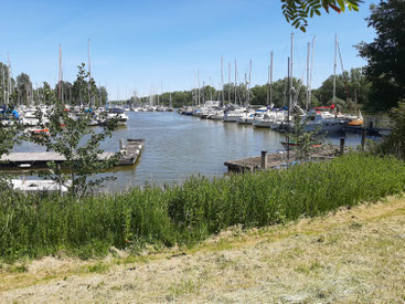 Hooksiel Jachthafen Nordsee Ostfriesland