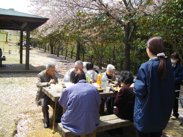 桜の絨毯の上で、昼食です。いつもより食欲旺盛でした。