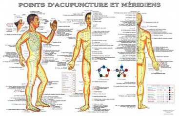 Méridiens et points d' acupuncture Lyon