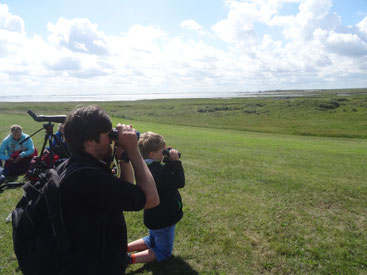 Geo-Tag der Natur 2017 auf Wangerooge - Vogelkiek mit den Junior Rangern