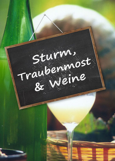 Sturmstandl, Sturmhütte, Landgut Weghofer, Vösendorf, Familie Weghofer, Rote Hütte, Weghofer Alm, Weghofer Weine, Landgut Lounge, Winzerclub, Sturmzeit, schilchersturm kaufen, sturm kaufen, wien, Steirer Rudi, Events, Feste, Containerlager, Lagern,  Stur