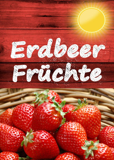 Erdbeeren Vösendorf, Erdbeerenwelt, Erbeerfeld, Erdbeer Hütte, Landgut Weghofer, Rote Hütte, Weghofer Weine, Bezirk Mödling, Steirer Rudi, Früchte Zeit, Spargel, Laxenburger Straße 177, Früchte, Obst, Erdbeeren Saison, Beerenglück