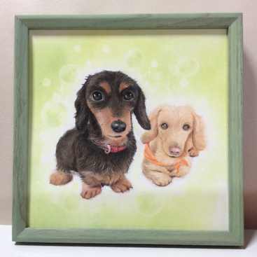 アトリエ絵くぼ　原画　パステルアート　ペットの絵