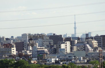 Skytree Tower seen from South Kawasaki