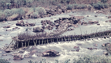 Nzoia River, Kenya 1971