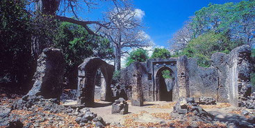 Gedi Ruins