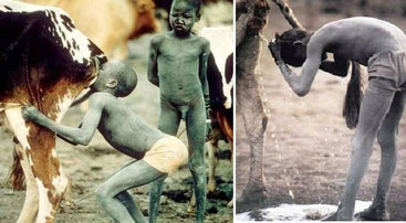 Adolescenti della tribù Bubal leccano i genitali della mucca e si lavano la testa con l'urina