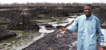 Inquinamento da petrolio nel Delta del Niger 