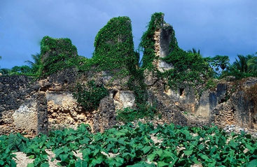 Nabahani ruins from medieval times between the tobacco plantations, Siyu town. Pate island, Lamu Archipelago