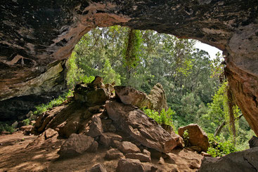 Grotta Kitum. Monte Elgon - Alle origini dell'Ebola
