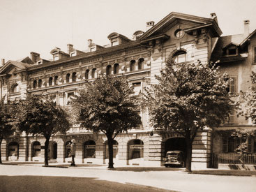 5. Standort. Freiestrasse 11