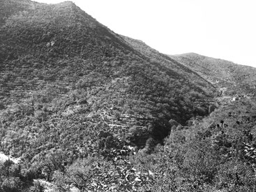 Cevennes im Südfrankreich. Foto: Werner Lüdi. ETH-Bibliothek Zürich, Bildarchiv, Dia 282-1245, CC BY-SA 4.0