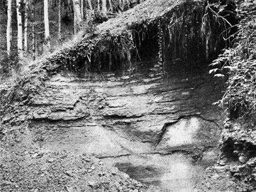 Der Riesentopf bei Althaus. Foto: Dr. Emil Hugi, Mitteilungen der Naturforschenden Gesellschaft Bern 1913, Bern 1914, S. 255