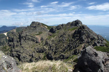 八ヶ岳　高山植物　ガイド