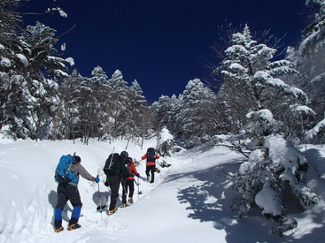 八ヶ岳　雪山　登山　ガイド　講習会　ツアー