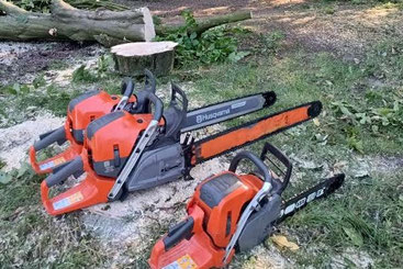 kettingzagen van CB Boomverzorging en Groenprojecten naast een omgezaagde boom