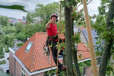 Professionele boomverzorger van CB Boomverzorging en Groentechnieken past klimtechnieken toe om zich door de boom te bewegen