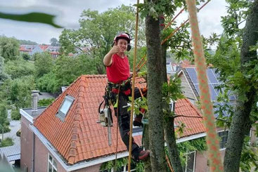Wij nemen je boomverzorging in Eelde uit handen zodat je bomen in topconditie blijven.