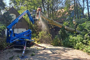 Professionele boomverzorger van CB Boomverzorging en Groenprojecten ruimt stormschade op