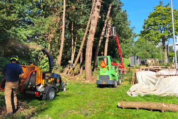 Wij beschikken over de juiste kennis, ervaring en materialen om de boomverzorging in Zuidwolde te verzorgen.