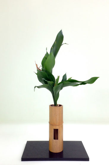 華道 遠州流の歴史 - 華道 「遠州流」 美濃 ホームページ 華道 遠州流の歴史 - 華道 「遠州流」 美濃 ホームページ