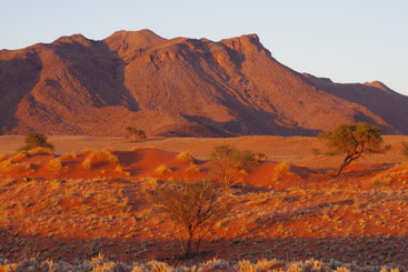 Südafrika und Namibia
