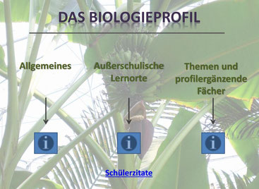 Biologieprofil