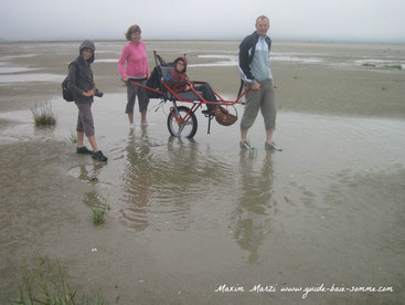 Guide Baie de Somme observation phoques traversée de la Baie activité aventure animaux à faire à voir à visiter à pied