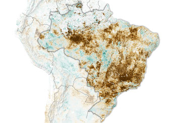 Déforestation au Brésil et sécheresse 
