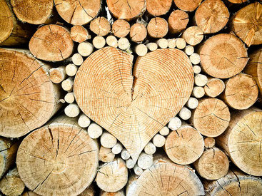 Durchbruch der Herzkraft - der Februar im SOULGARDEN Blog
