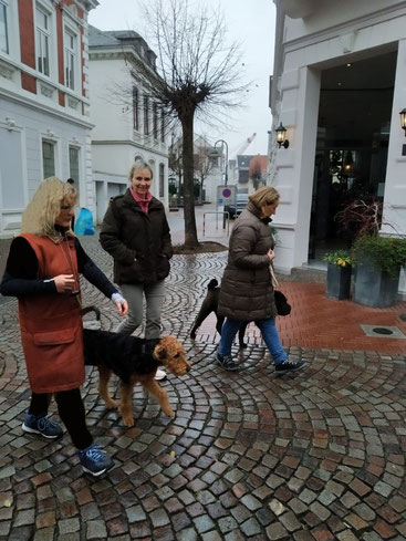 Prüfungsstress beim Fraule : Bleib ja bei Fuss, Kleiner !!!....Klar doch !!!