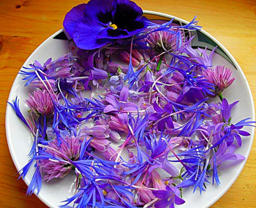 Blaue Blüten Mischung