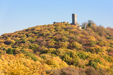 Klick auf das Bild öffnet die Galerie mit Herbstimpressionen