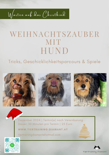 tiergestützte intervension, tiergestützte arbeit, therapiebegleithund, therapiehund, hund und kind, tiertraining diamant, hundeschule salzburg, hundetraining salzburg, hund förderunterricht, lesehund, tricktraining hund, hund weihnachten, agility, wunsch