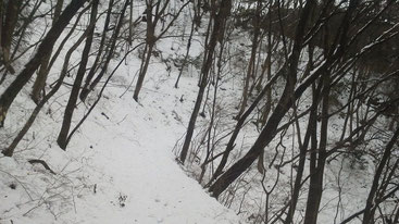 積雪30ｃｍ：大楢峠に向かう下山道
