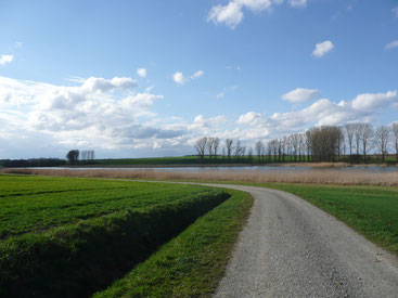 Die Emmaus-Jünger sind auf dem Weg und sprechen über das, was sie bewegt, und dabei erleben sie die Nähe Jesu. - Auf dem Weg sind wir alle .....  