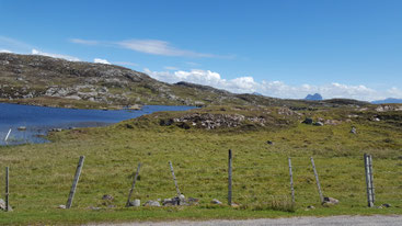 ASSYNT WALKING NETWORK NC500