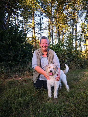 Unser Dicker Hund Hat Heute Geburtstag Semper Crescendo Whippets