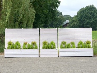 Sichtschutz mit Pflanzkasten aus Holz, Transparent Geölt Weiß
