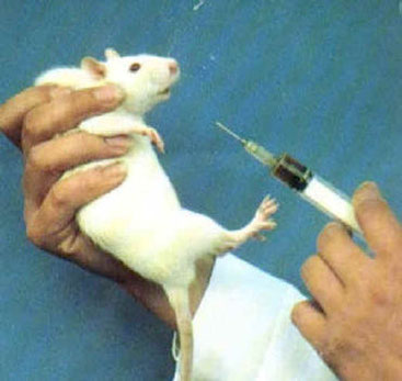 Animal Care International (ACI)  