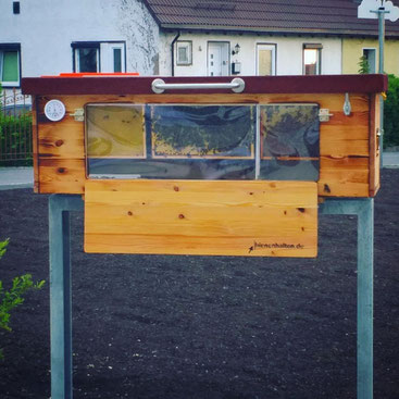 Bienenhaus Schule Unterricht Bienen