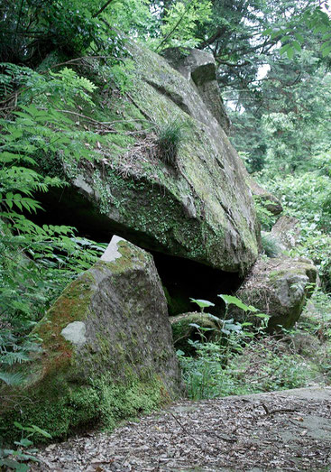 苔むす岩