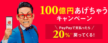 PayPay ペイペイ ２０% 戻ってくるキャンペーン（100億円あげちゃう）