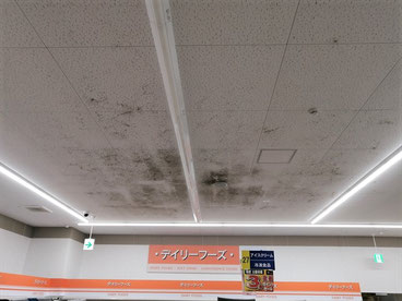 カビ取り前の天井