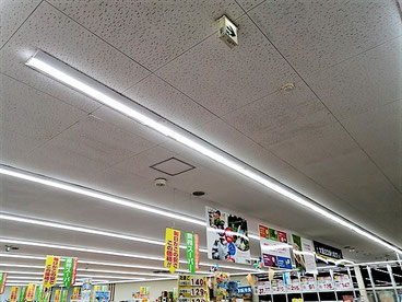 防カビ施工後の天井