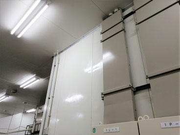 防カビ施工後の天井