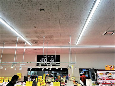 カビ取り前の天井